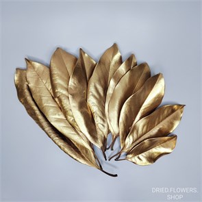 Листья магнолии золотые, 10 шт. Lmagn_gold