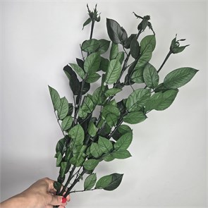 Стебли роз стабилизированные 45-50 см, 1 шт. y-LT16qGi8-ZP2rH9SH1g0
