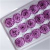 Роза пионовидная мини 3-3,5 см фиолетовая (21) RP21_507