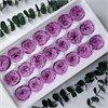 Роза пионовидная мини 3-3,5 см фиолетовая (21) RP21_507