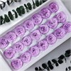 Роза пионовидная мини 3-3,5 см ярко-сиреневая (21) illU4NaIhuM1gKK5YCfuI3