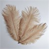 Перья страуса нюд 23-27 см (3 шт.) yNflyyMEitvoe1HJD1ohO2