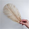 Перья страуса нюд 23-27 см (3 шт.) yNflyyMEitvoe1HJD1ohO2