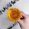 Подсолнухи стабилизированные, 3 шт. FYWW0FIkiEOb5EEcMraqy1