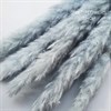 Пампас-мини серо-голубой, 5 шт. Pa_608