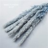 Пампас-мини серо-голубой, 5 шт. Pa_608