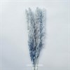 Пампас-мини серо-голубой, 5 шт. Pa_608