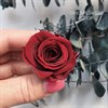 Роза 3,5 см темно-красная бордовая марсала (21) R21_112
