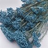 Озотамнус голубой морская волна Oz_303