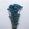 Озотамнус голубой морская волна Oz_303