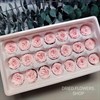 Роза пионовидная мини 3-3,5 см молочно-розовая (21) RP12_101