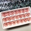 Роза пионовидная мини 3-3,5 см нюд (21) Rp21_605