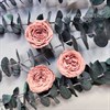 Роза пионовидная мини 3-3,5 см нюд (21) Rp21_605