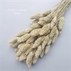 Фаларис натуральный 50-60 шт. Ph_705