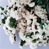 Статица стабилизированная белая St_702