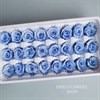 Роза стабилизированная голубая