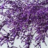Кермек фиолетовый jAgajFe4iqQnr8emNof5D0