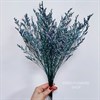 Кермек зелено-голубой Ker_2