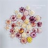 Гелихризум 30 шт. микс 2,5-3 см Ge_mix 30