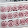 Роза пионовидная мини 3-3,5 см пудровый нюд (21) RP21_604