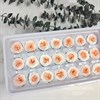 Роза пионовидная мини 3-3,5 см  двухцветная бело-персиковая (21) Rp21_804
