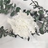 Гвоздика 4-4,5 см белая (10) CA10_701