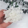 Гвоздика 4-4,5 см белая (10) CA10_701