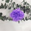 Гвоздика 4-4,5 см сиреневая (10) CA10_503