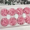 Гвоздика 4-4,5 см розовая (10) CA10_102