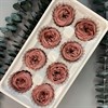 Роза пионовидная 4-5 см розовый нюд (8) Rp8_601