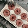 Роза пионовидная 4-5 см розовый нюд (8) Rp8_601