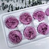 Роза пионовидная 4-5 см фиолетовая (8) RP8_511