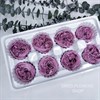 Роза пионовидная 4-5 см фиолетовая (8) RP8_511