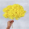 Гортензия желтая H_203