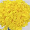 Гортензия желтая H_203