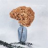 Гортензия ореховый нюд Hy_605
