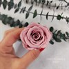 Роза 4,5-5 см розовый нюд (10) R10_601-2