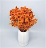 Лимониум оранжевый Lim_207