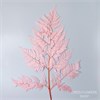 Папоротник резной светло-розовый, 5 шт. Fer_101