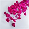 Канатник Теофраста фуксия CHzaQXJrivx8WApVHtfi02