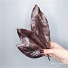 Листья магнолии коричневые шоколадные, 10 шт. Lmagn_kor