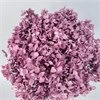 Гортензия фиолетовая лавандовая U1fyC6EEiNPa0dLBD-4HF3