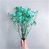 Гипсофила бирюзовая Gy_308