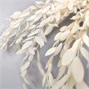 Эвкалипт парвифолия белый кремовый ab9VZD1thmMrihVQTcL0f2