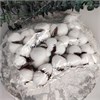 Хлопок коробочки искусственный белый FdlILo8UglrLqSNqCelyU0