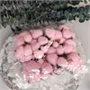 Хлопок коробочки искусственный розовый KxLMllNoiwCiJm4rp2JZU3