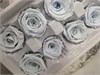 Розы 4-5 см светло-голубые Уценка C1cdwvOwip8acVc7BskRr2