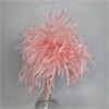 Мискантус мини розовый, 10 шт. fLblKFrnjHRjtGI80zf9u2