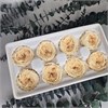 Роза пионовидная 4,5-5 см светло-персиковая шампань (8) RP8_601-2
