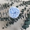 Роза пионовидная 4,5-5 см голубая (8) RP8_303